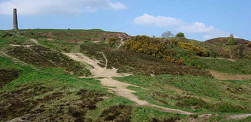 3457284684_195ecc2e3f_z