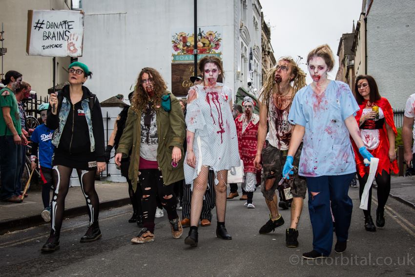 14650270_1360073807392630_1982360442280669490_n